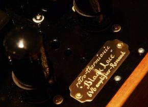retro-thermionic 
