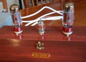 retro-thermionic - 