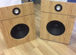 Speaker with Amplifier