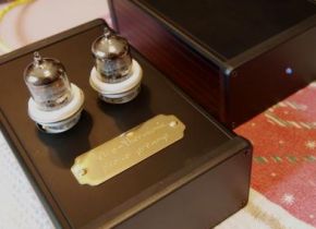 retro-thermionic